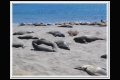 Impressionen 2 Monterey - Pismo Beach.jpg